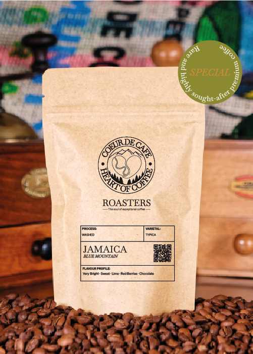 The Expedition - Image 4